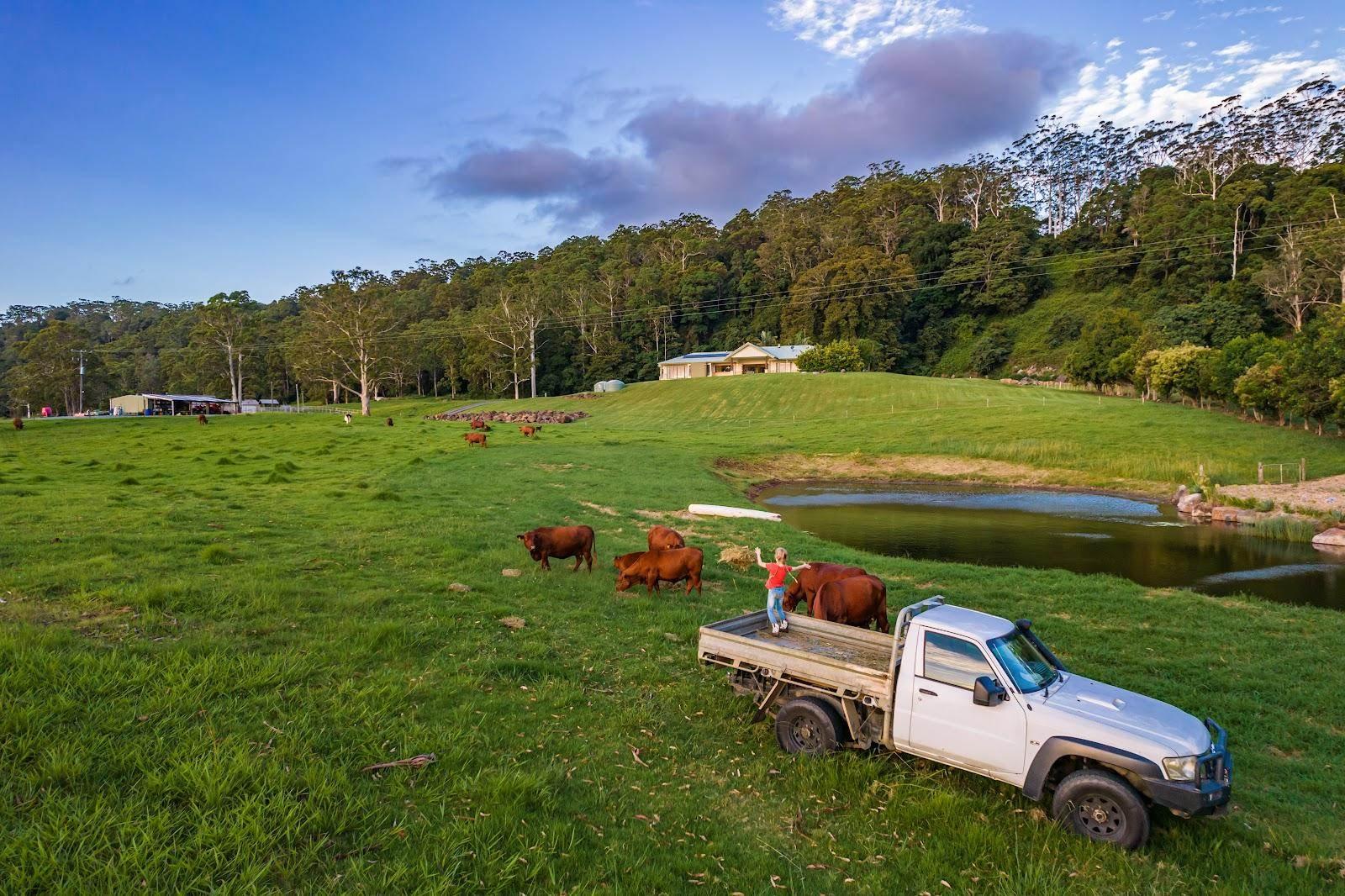 Houses For Sale Tamborine Mountain