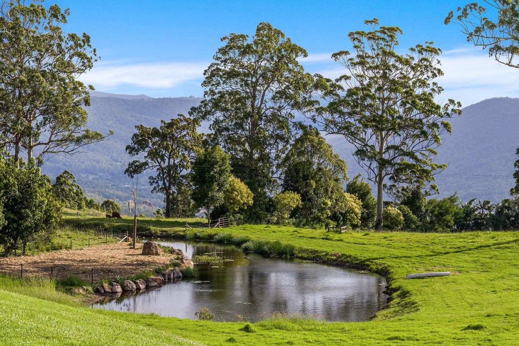 Private Acreage Property For Sale Tamborine Mountain QLD