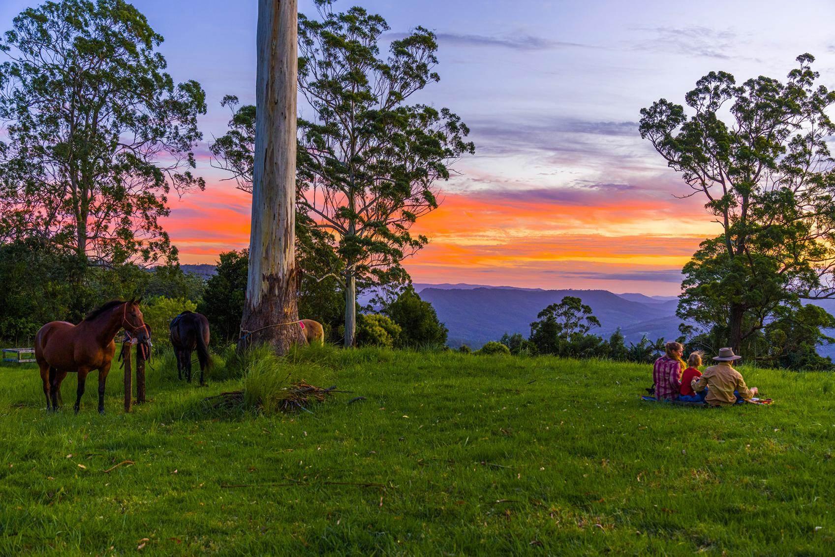 Acreage Property For Sale Tamborine Mountain QLD