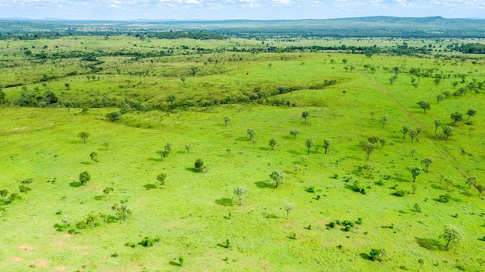 cattle property for sale QLD