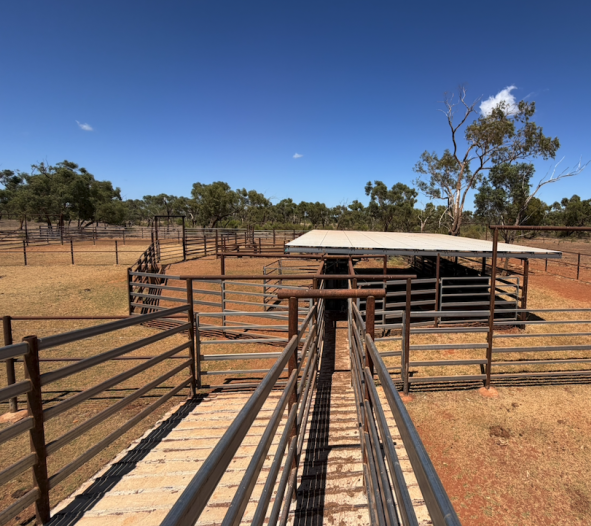 cattle station for sale QLD