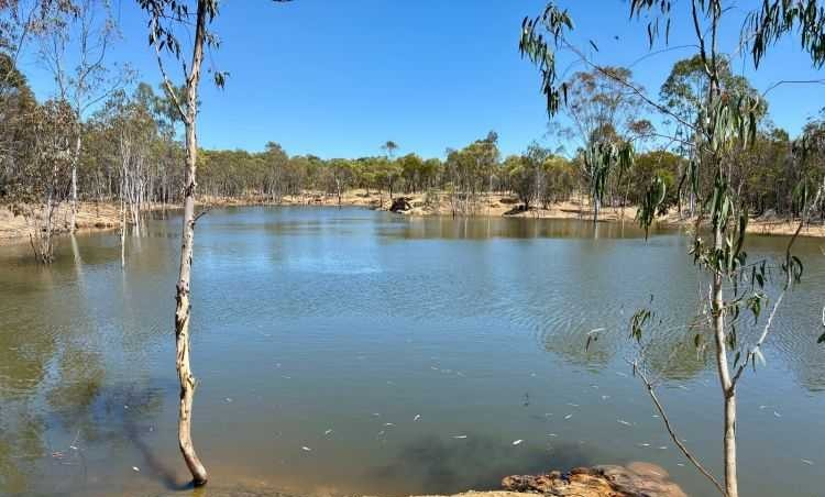 cattle station for sale QLD