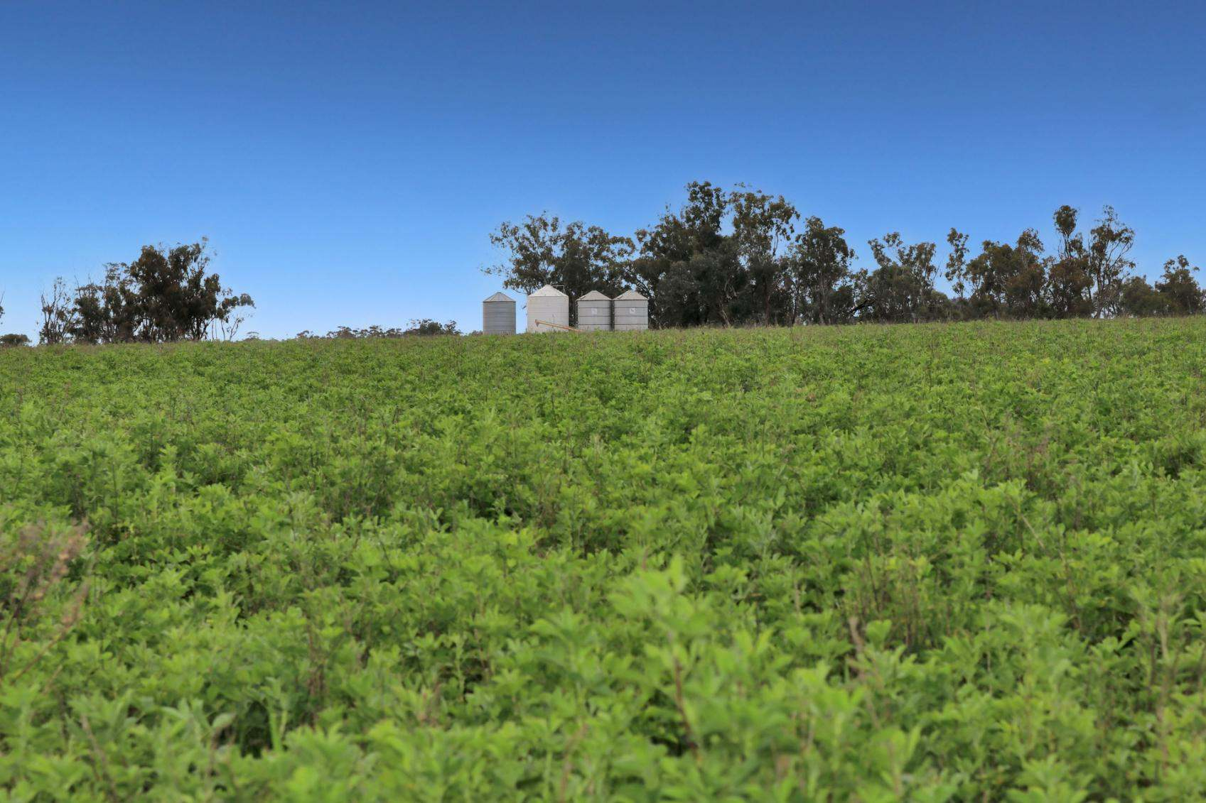 rural property for sale NSW