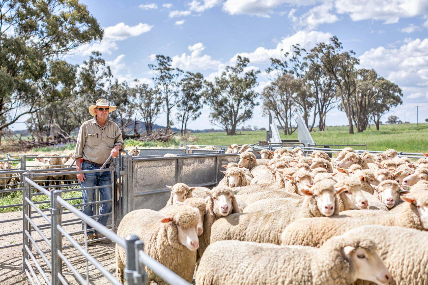 rural property for sale NSW