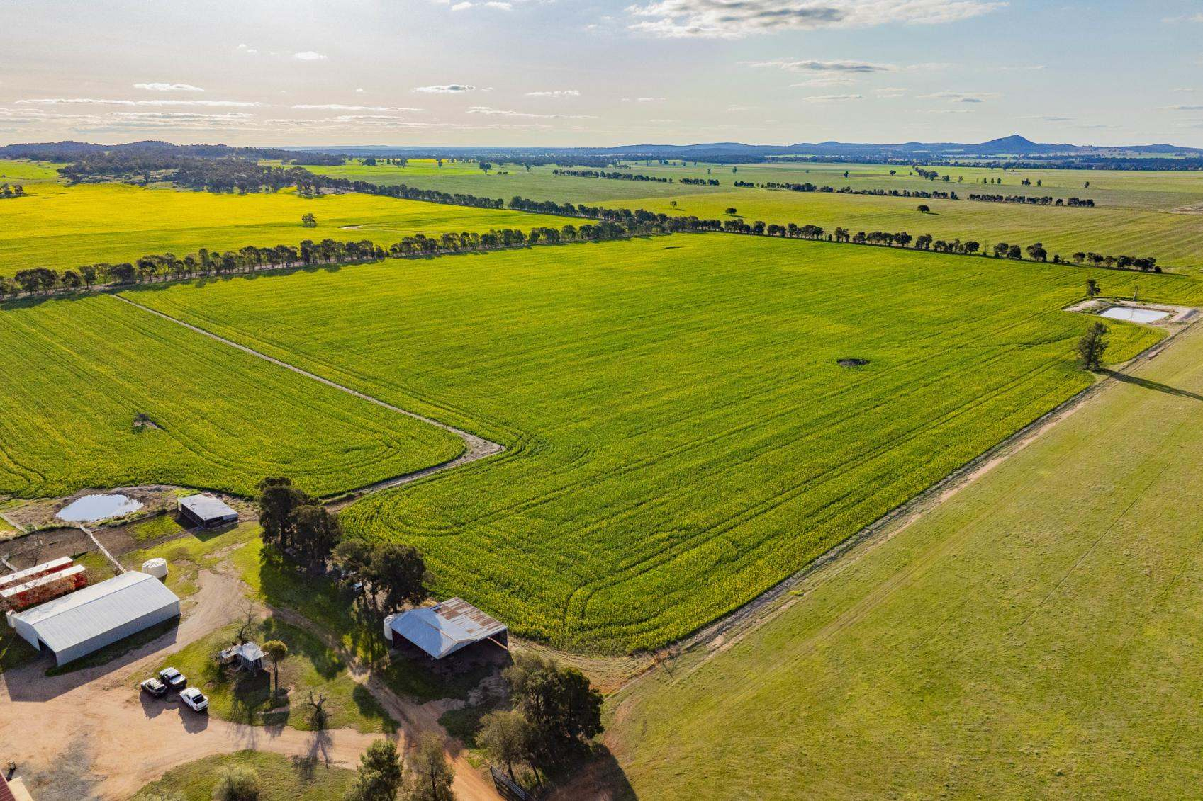 rural property for sale NSW