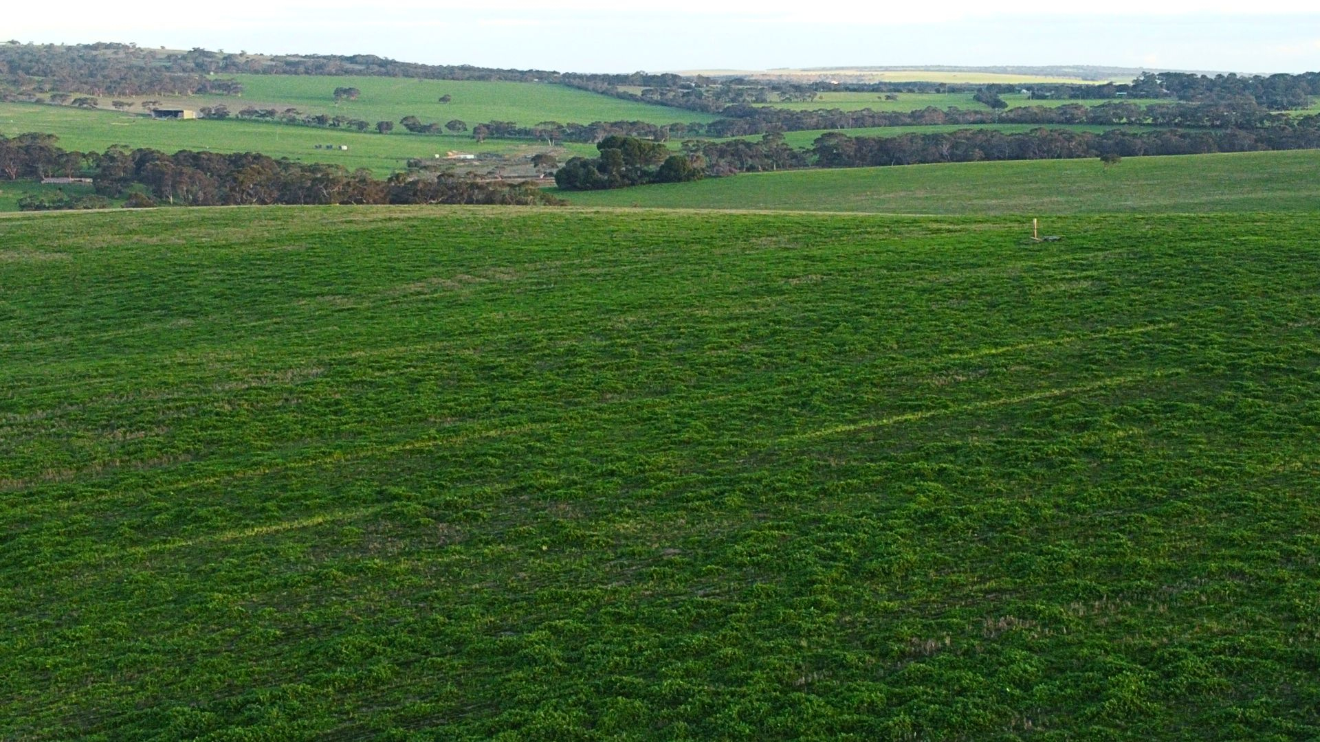 Farm For Sale SA