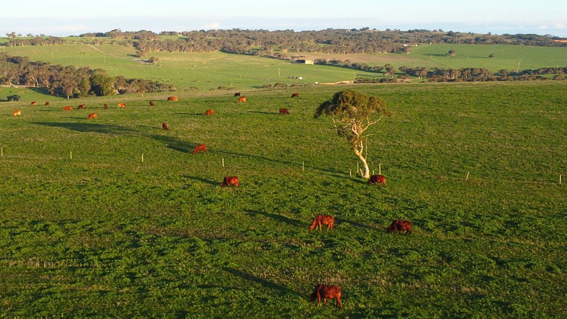 Farm For Sale SA