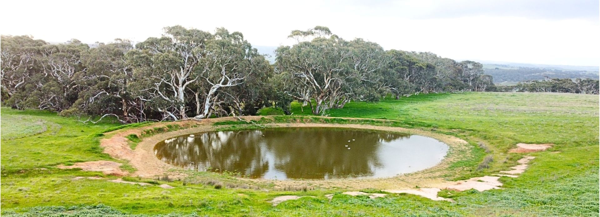 Farm For Sale SA