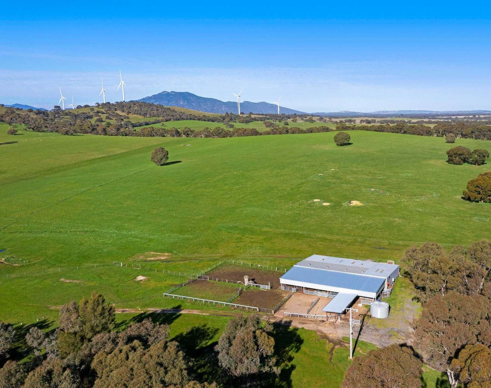 livestock property for sale VIC