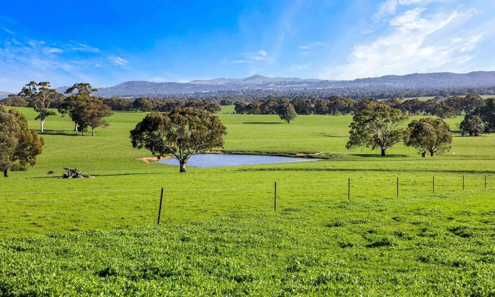 livestock property for sale VIC