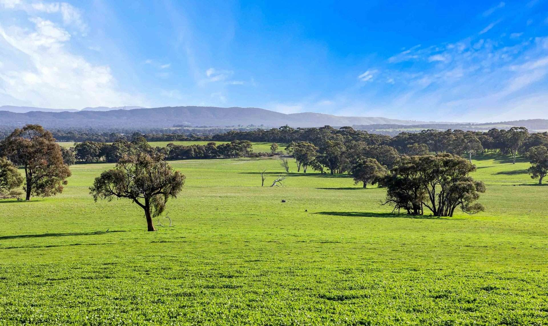 livestock property for sale VIC