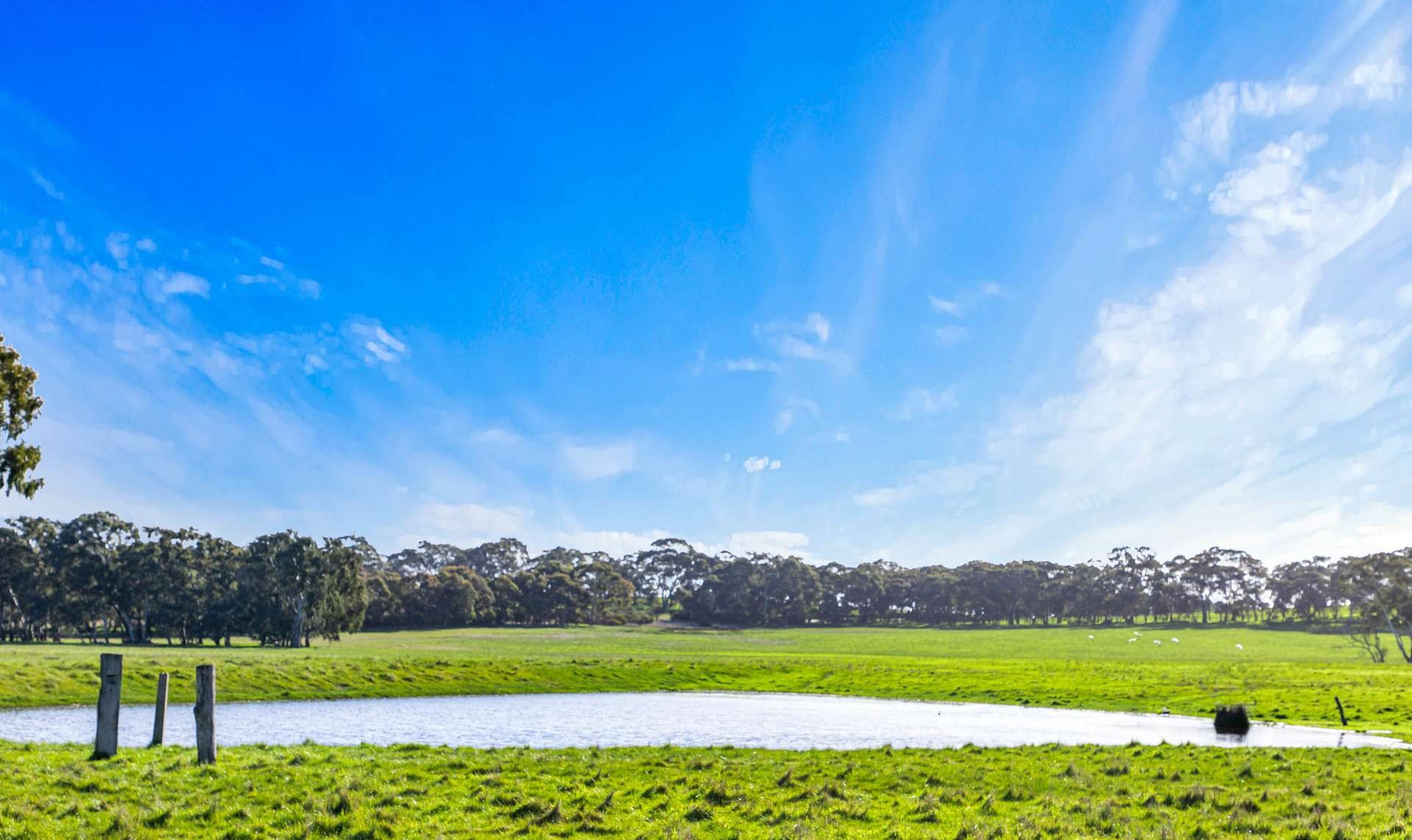 livestock property for sale VIC