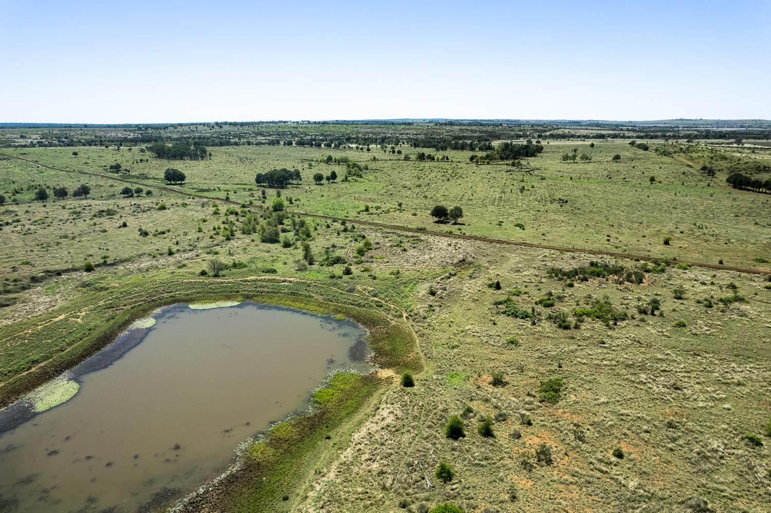 Cattle Station For Sale QLD Blue Ribbon District