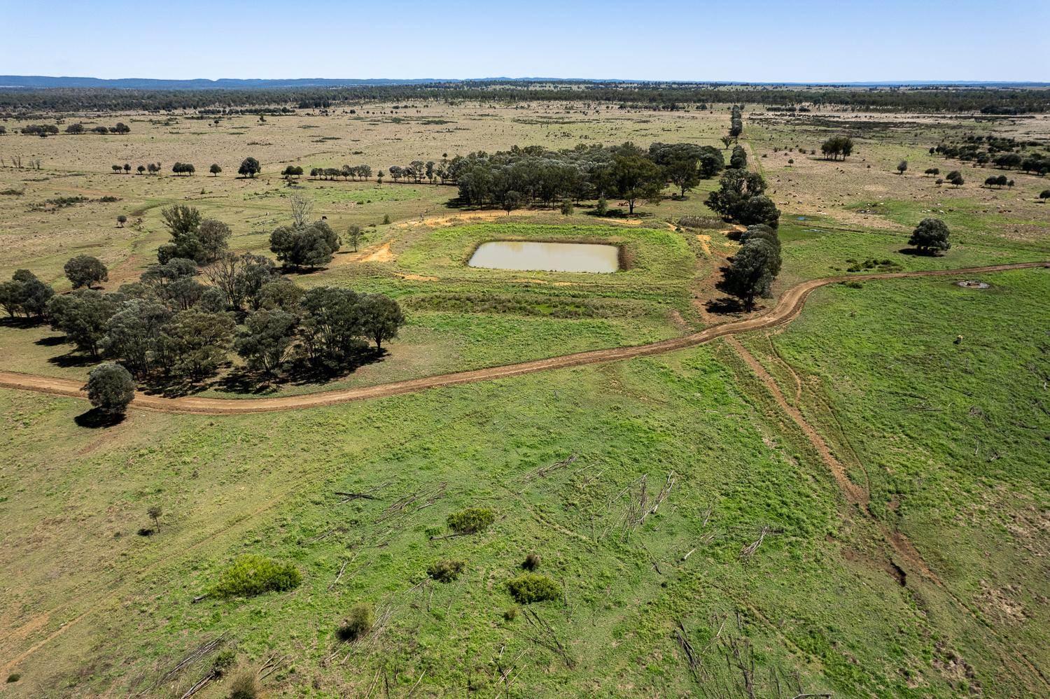 Cattle Station For Sale QLD Blue Ribbon District