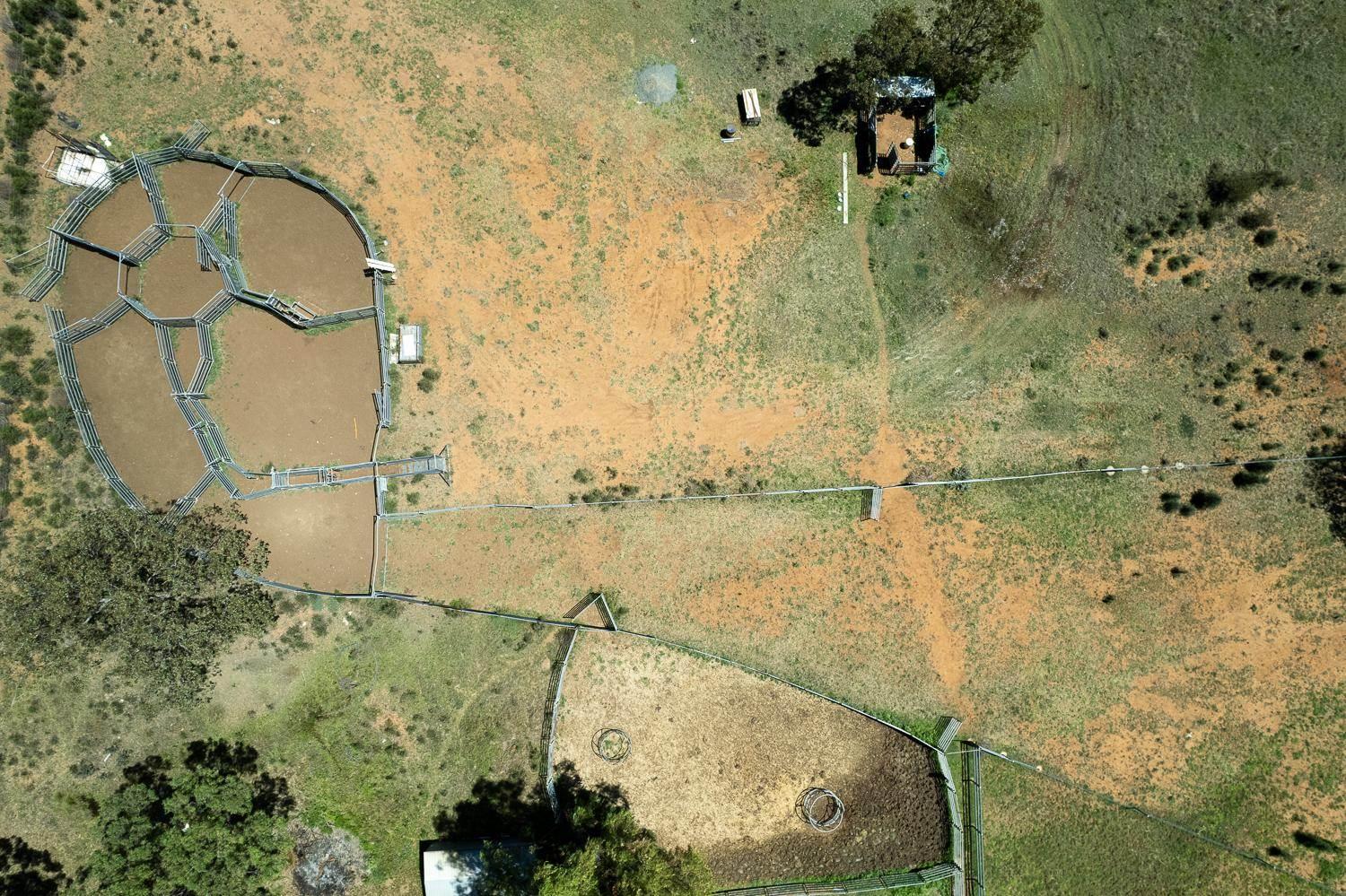 Cattle Station For Sale QLD 