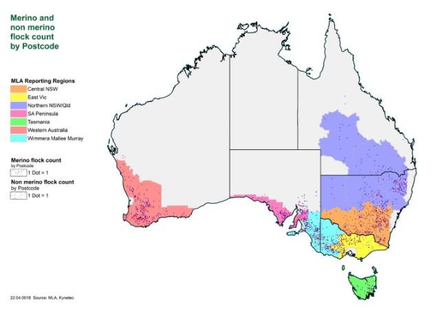 sheep sales australia