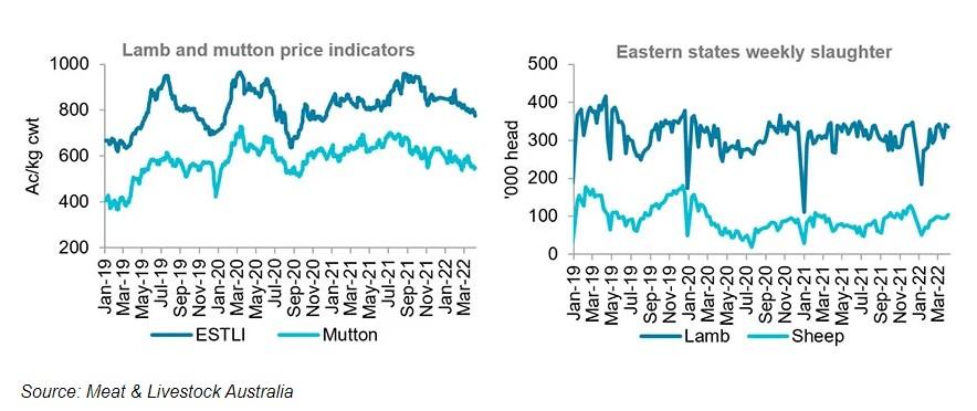 Sheep Sales Prices Australia