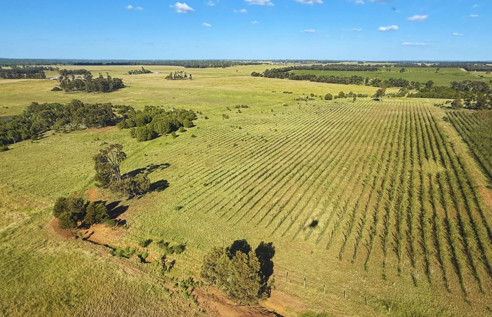 Cattle Property For Sale QLD