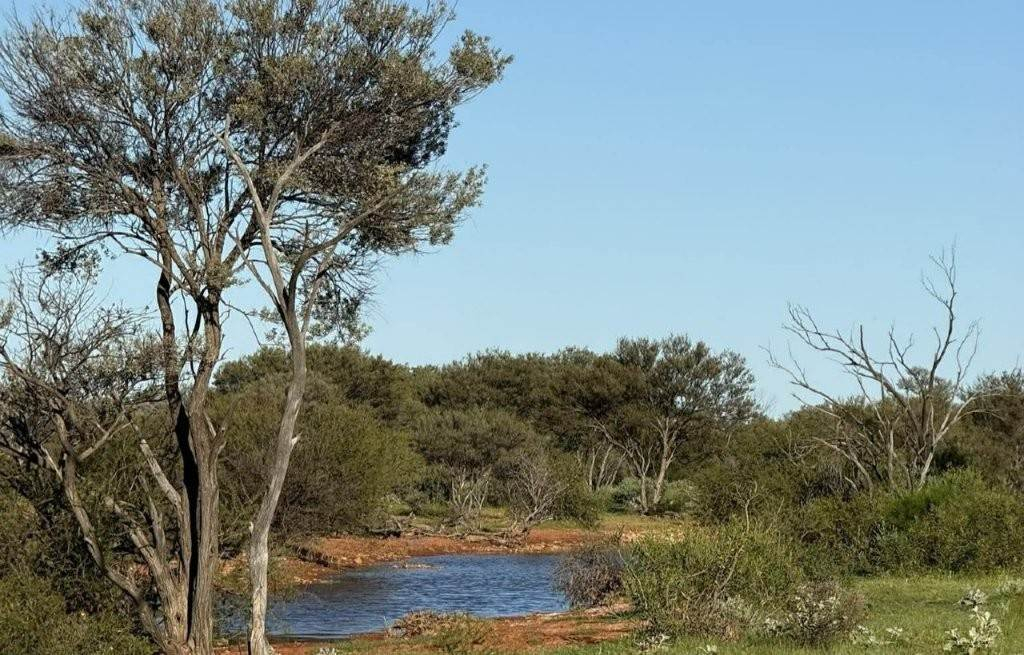 Cattle Property For Sale WA