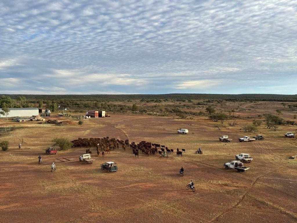 Cattle Property For Sale WA