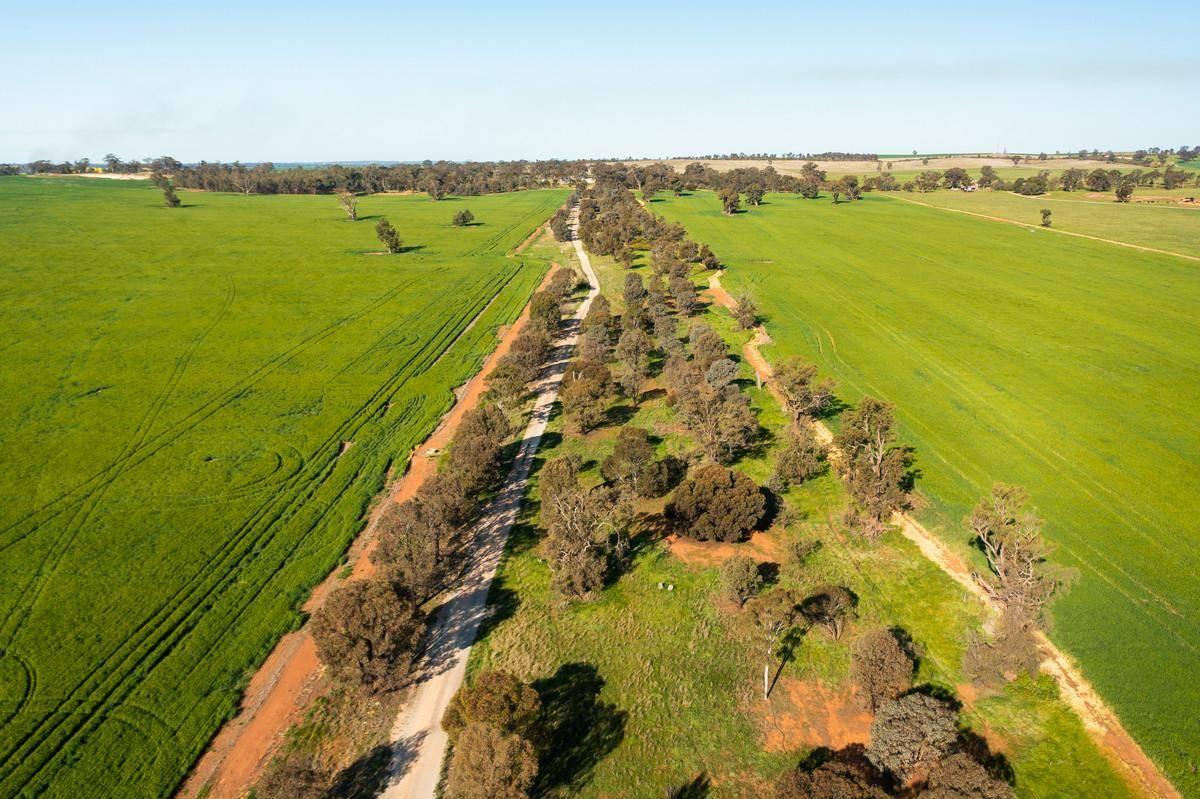 Farm For Sale Riverina