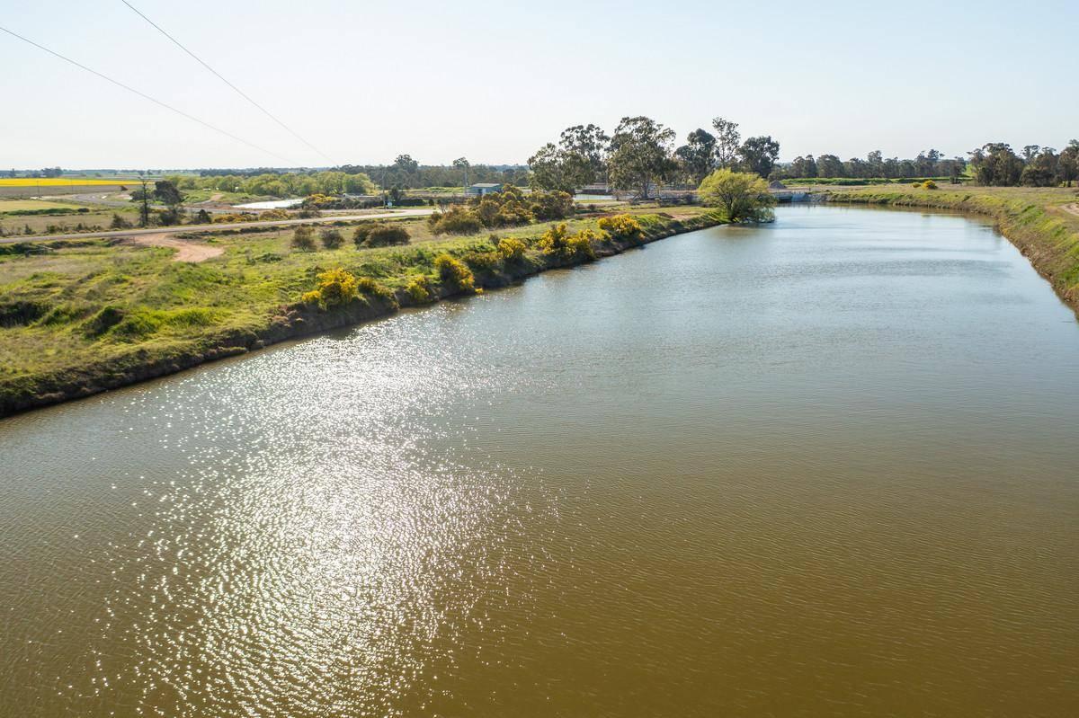 Farm For Sale Riverina 