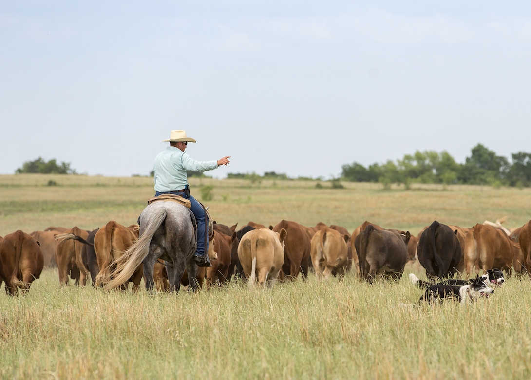 How To Buy A Hobby Farm: Farmbuy.com Buyers' Guide