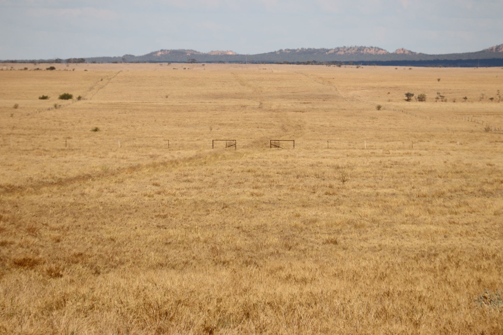 cattle station for sale QLD