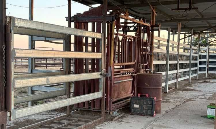 cattle station for sale QLD