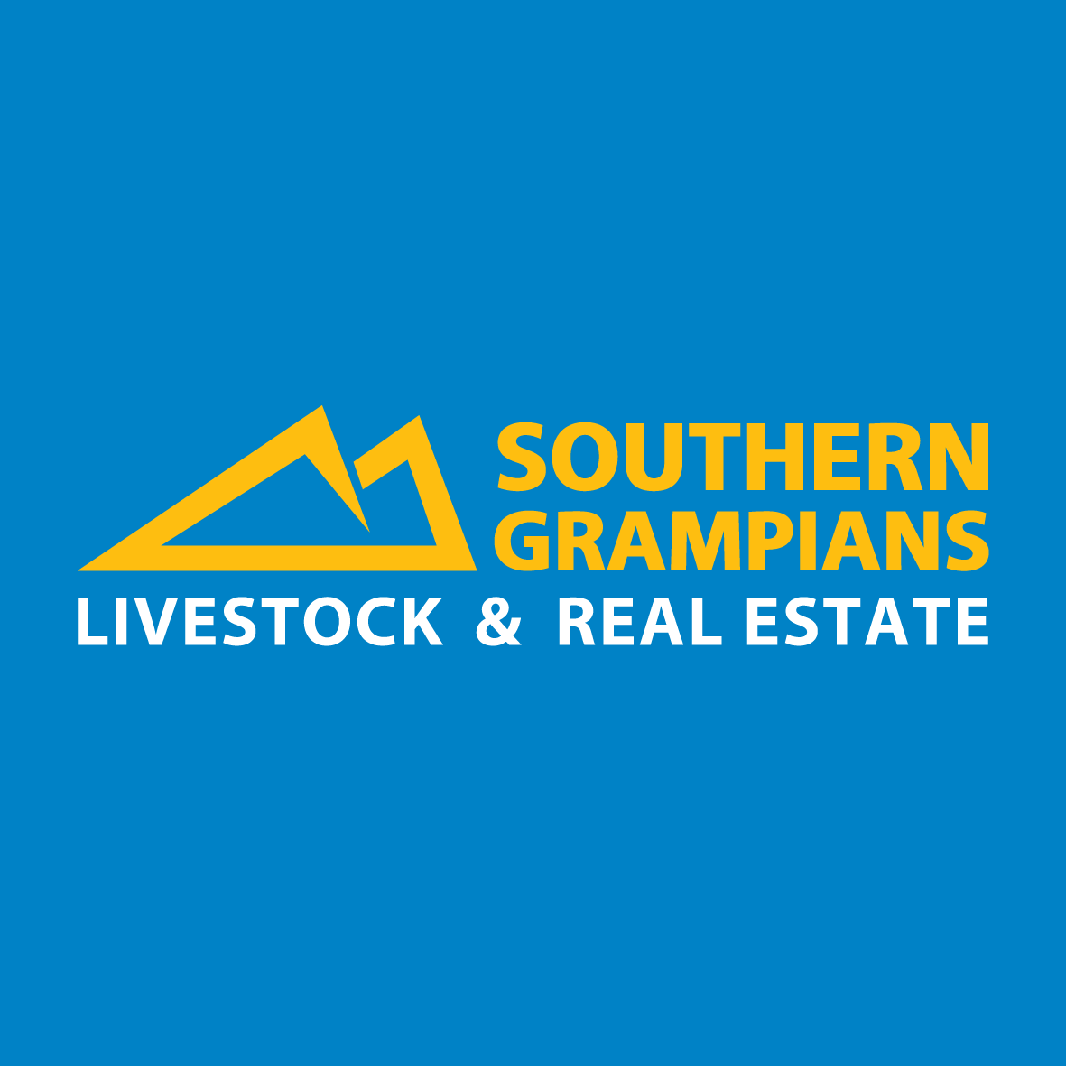 Glenn Judd - WVLX Foundation Agents