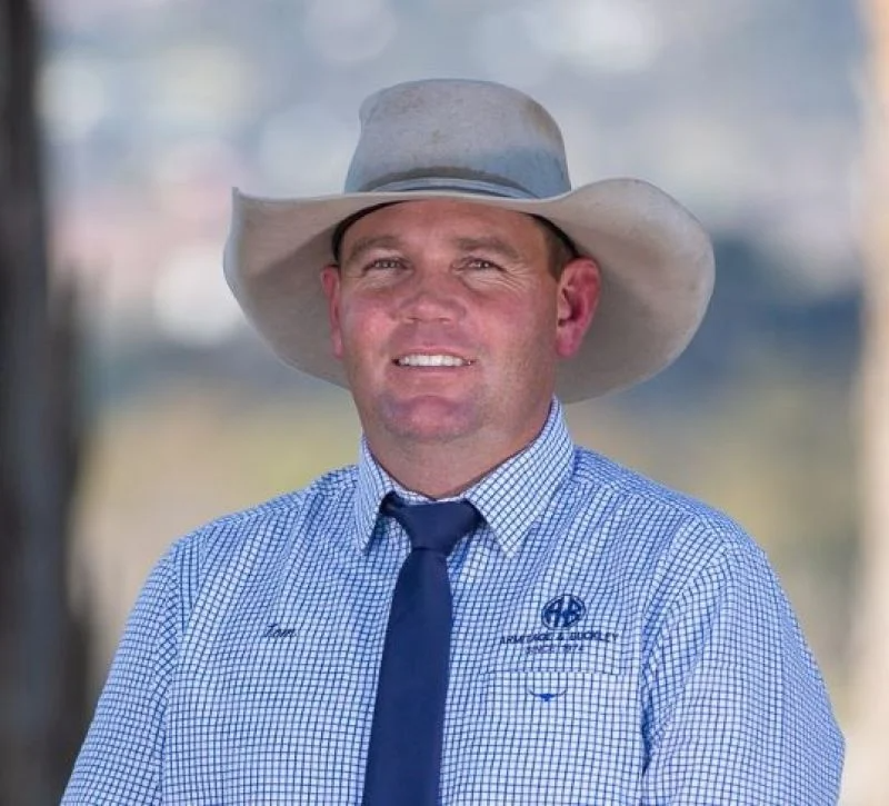 Tom Piddington - Armitage & Buckley