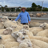 Justin Buchanan - JLB Livestock & Property