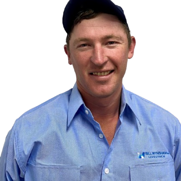 Mick O'Callaghan - Bill Wyndham & Co
