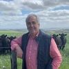 Peter Lindeman - Elders Real Estate Geelong