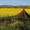 Jim Coffey - Elders Real Estate Wycheproof