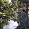 Shane McLoughlan - Elders Real Estate Wycheproof