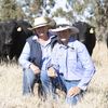 Fairview Black Simmentals