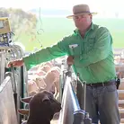 Des Makeham - Makeham Livestock Marketing