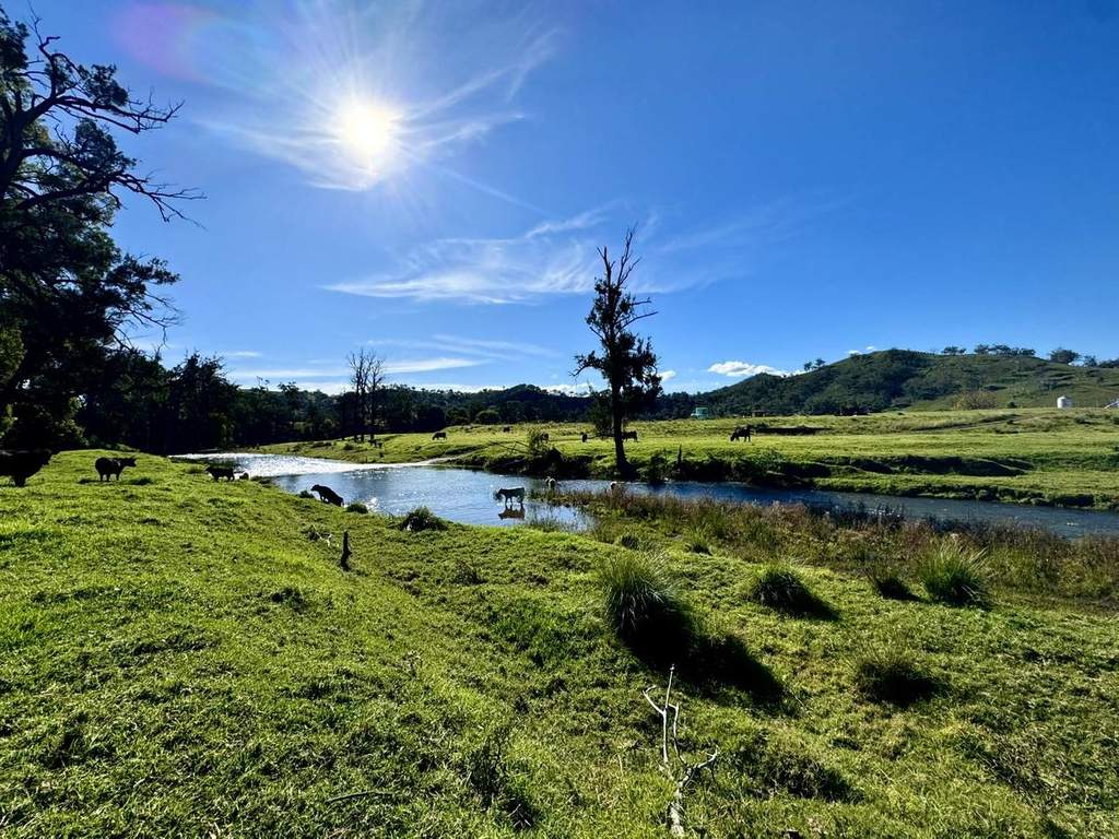 Hunter Road Moonan Flat (Via), Scone, NSW 2337 Auction | Farmbuy.com