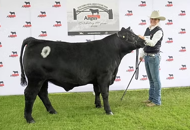 Contact Person Image