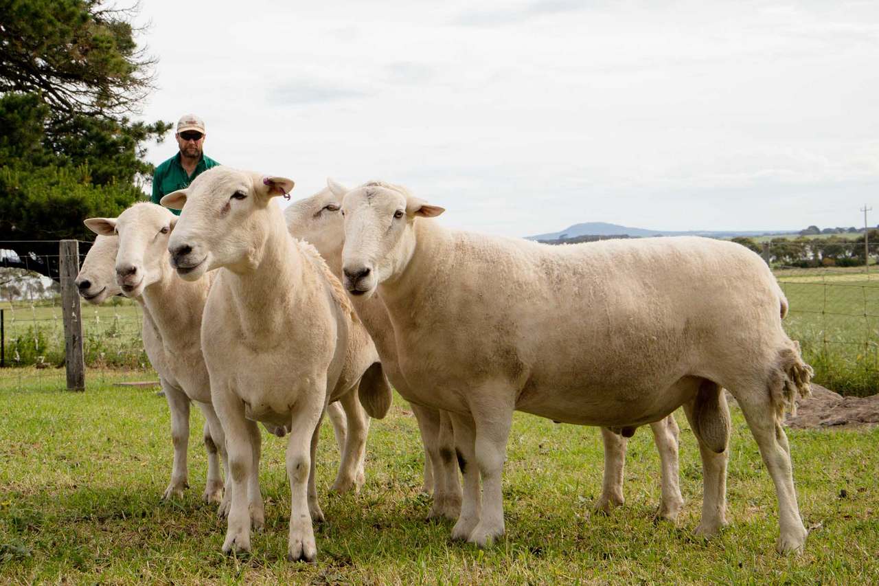 59 West Lake Road, Croxton East  by Farmbuy.com - image 1