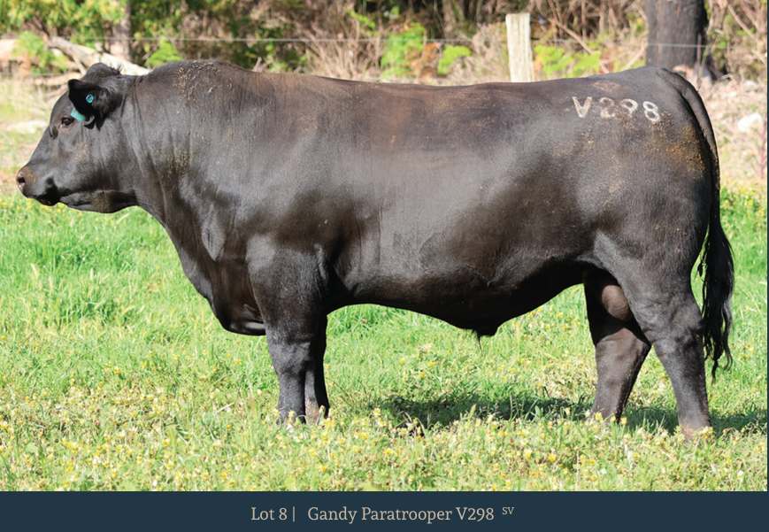 31 Salter Rd, Boyanup  by Farmbuy.com - image 7