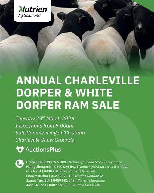 Charleville Showgrounds, Charleville   by Farmbuy.com - image 1