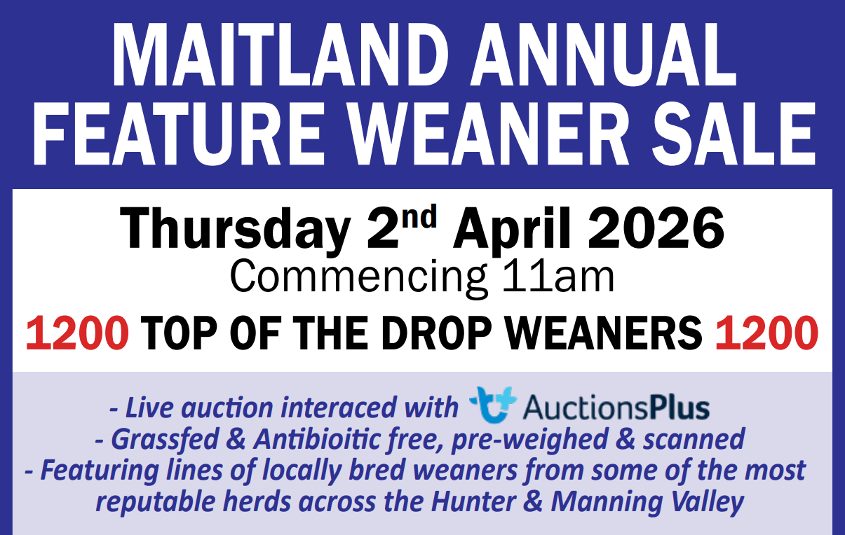 52 Kyle St, Rutherford  by Farmbuy.com - image 2