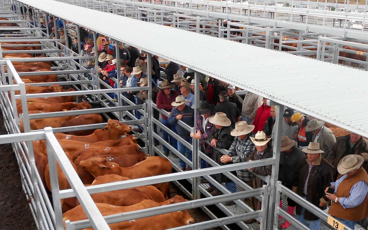 2563 State Route 90, Bromelton  by Farmbuy.com - image 1