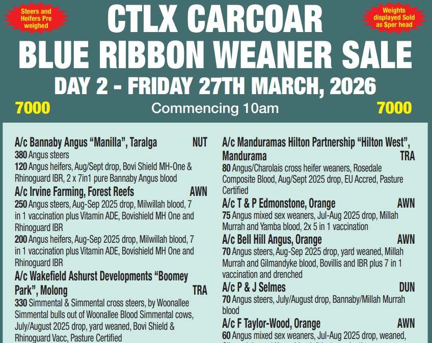 National Route 24, Carcoar  by Farmbuy.com - image 8