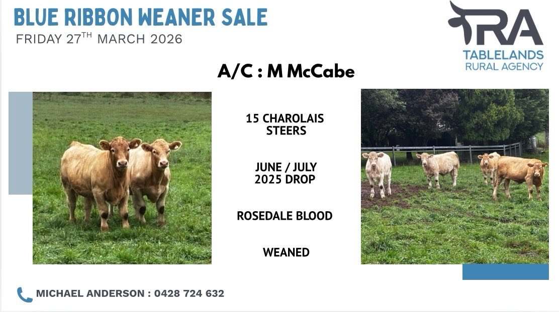 National Route 24, Carcoar  by Farmbuy.com - image 6