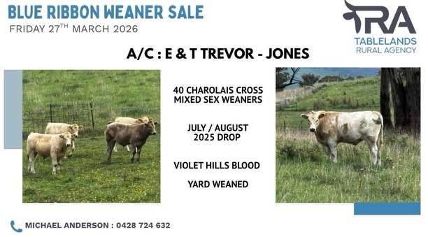 National Route 24, Carcoar  by Farmbuy.com - image 5