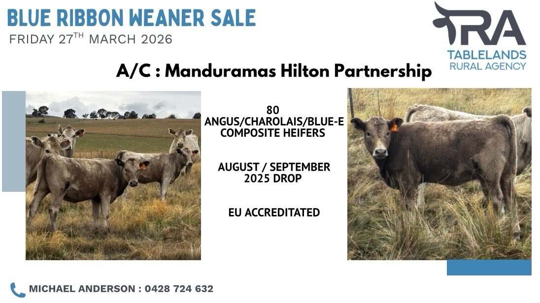 National Route 24, Carcoar  by Farmbuy.com - image 4