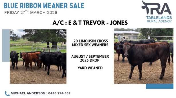 National Route 24, Carcoar  by Farmbuy.com - image 7